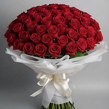 Букет 101 Красная роза Блэк Мэджик #REPLACE_PRED# Садовый