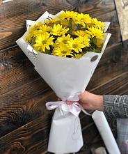 Букет цветов из:  Хризантемы #REPLACE_PRED# Садовый