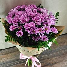 Букет цветов из:  Хризантемы #REPLACE_PRED# Садовый