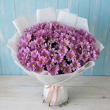 Букет цветов из:  Хризантемы #REPLACE_PRED# Садовый