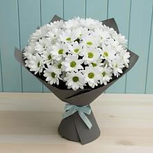 Букет цветов из:  Хризантемы в Садовый