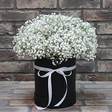 Цветочная композиция из Гипсофила в шляпной коробке в Садовый