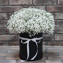 Цветочная композиция из Гипсофила в шляпной коробке в Садовый