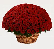 Премиум букет из: Розы в Садовый